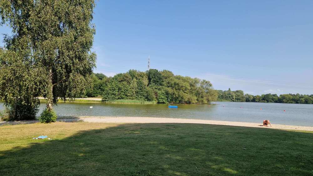 Sander See