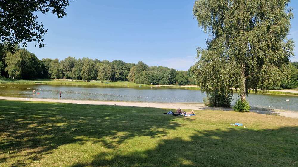 Sander See