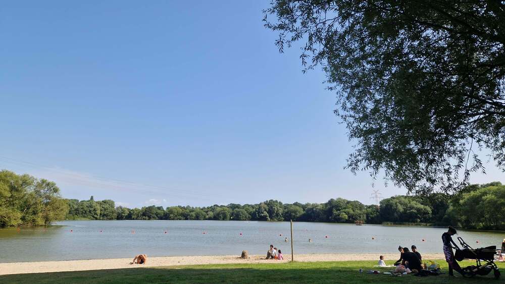 Sander See